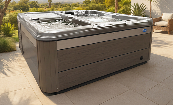 Cold Plunge Spas Series Peach Tree City hot tubs for sale