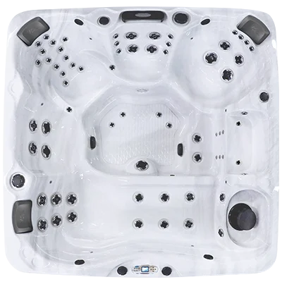 Avalon EC-867L hot tubs for sale in Peach Tree City