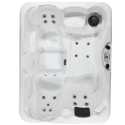 Kona PZ-519L hot tubs for sale in Peach Tree City